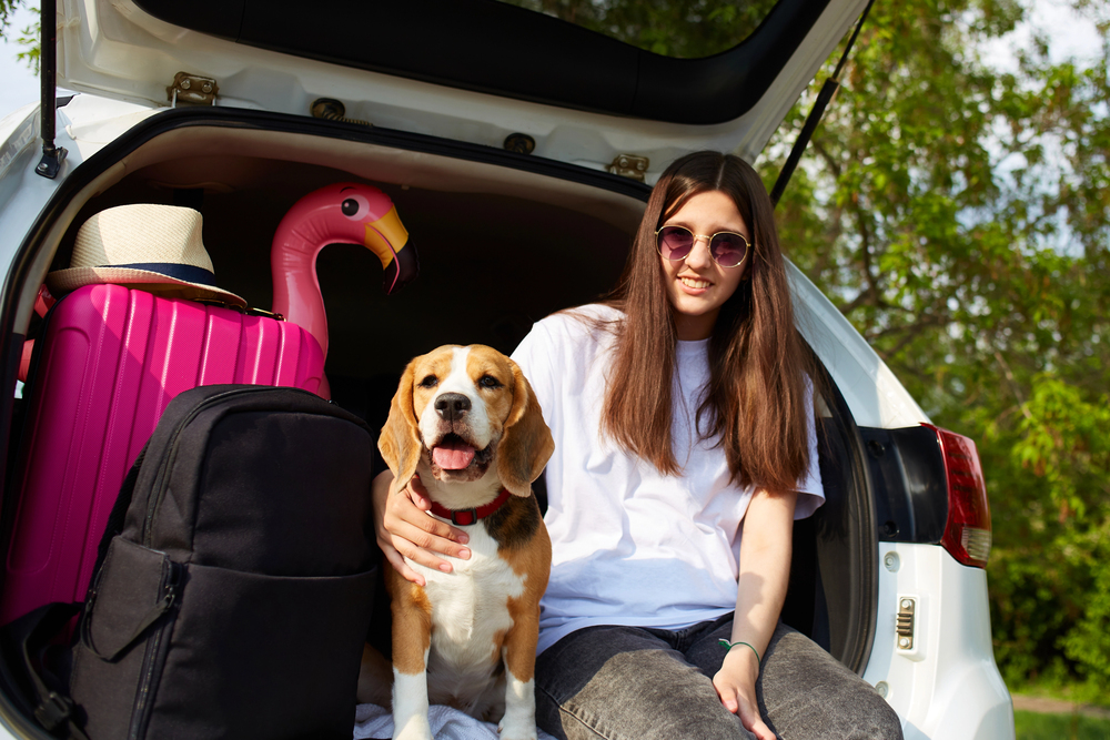 Requirements to Travel With a Dog